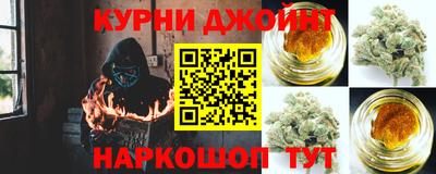 сатива Камышлов