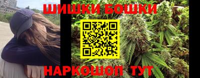 сатива Камышлов